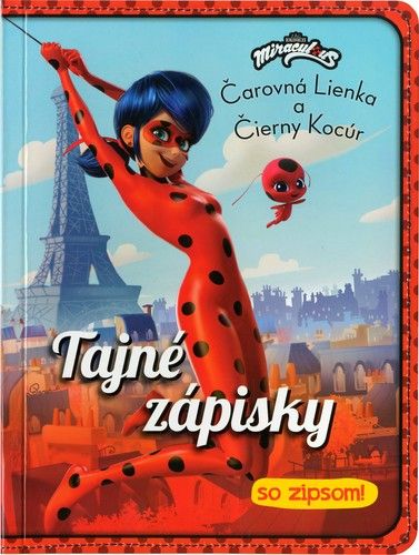 kniha
