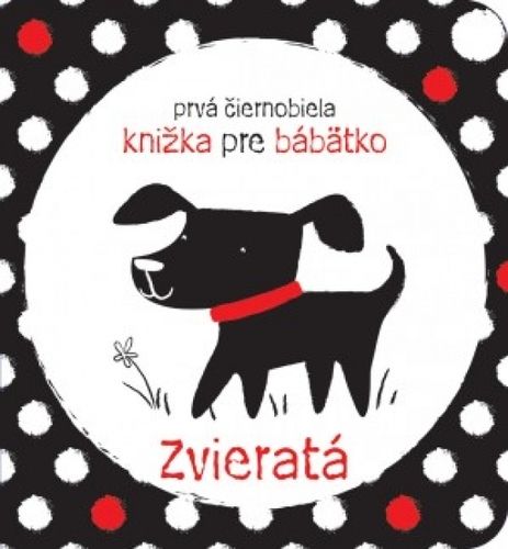 kniha