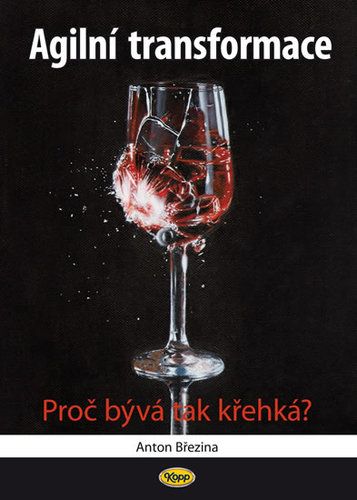 kniha