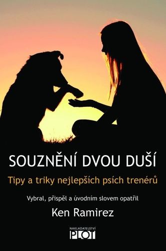kniha