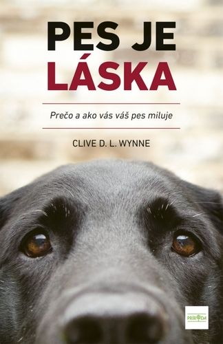 kniha