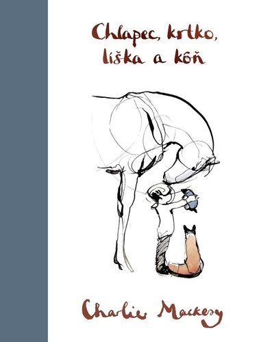 kniha