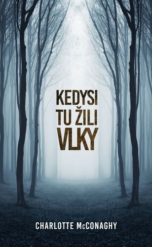 kniha