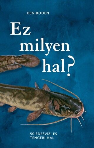kniha