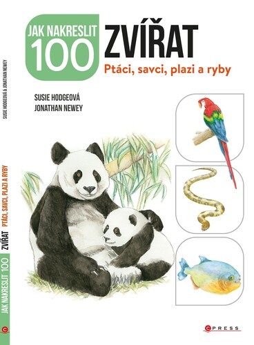 kniha