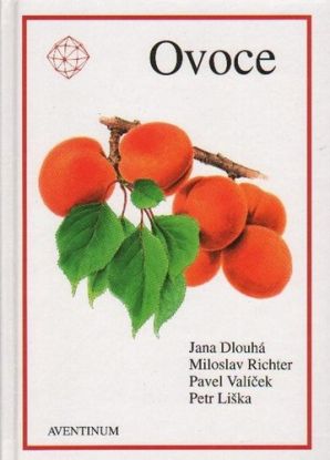 Ovoce