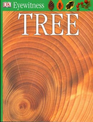 Tree (Eyewitness)