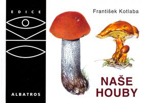Naše houby