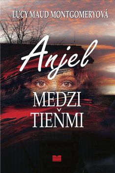 Anjel medzi tieňmi