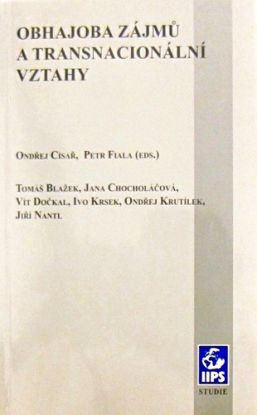 Obhajoba zájmů a transnacionální vztahy