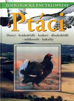 Ptáci -Dravci,krátkokřídlí,hrabaví,dlouhokřídlí