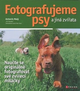 Fotografujeme psy