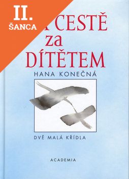 Lacná kniha Na cestě za dítětem