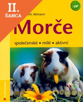 Lacná kniha Morče