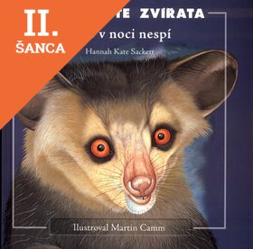 Lacná kniha Kdo v noci nespí