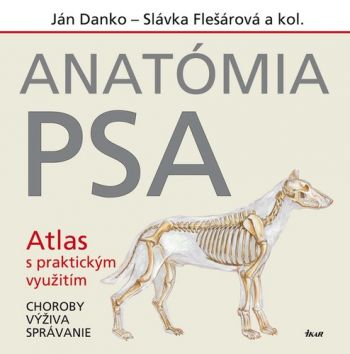 Anatómia psa