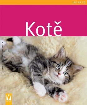 Kotě - jak na to