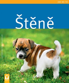 Štěně - jak na to