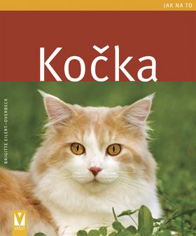 Kočka - Jak na to