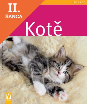 Lacná kniha Kotě - jak na to