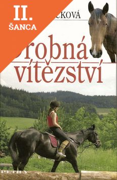 Lacná kniha Drobná vítězství