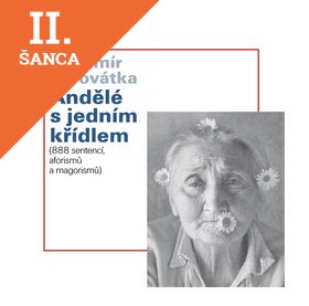 Lacná kniha Andělé s jedním křídlem