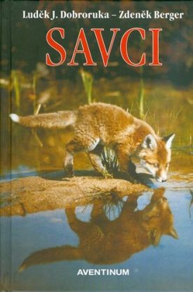 Savci