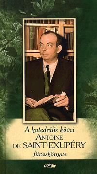 A katedrális kövei