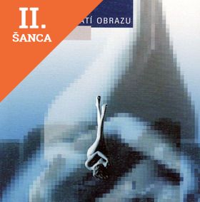 Lacná kniha V zajatí obrazu