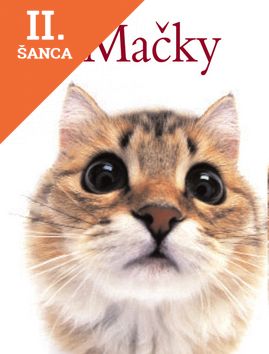 Lacná kniha Mačky
