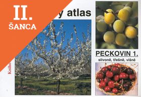 Lacná kniha Obrazový atlas peckovin 1.