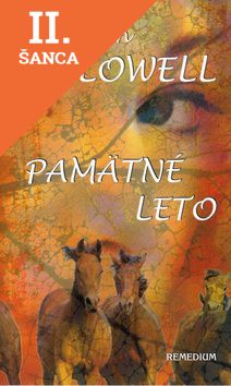 Lacná kniha Pamätné leto