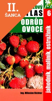 Lacná kniha Jahodník, maliník, ostružiník