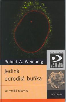Jediná odrodilá buňka. Jak vzniká rakovina