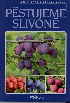 Pěstujeme slivoně