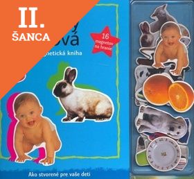 Lacná kniha Tvary a slová