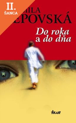Lacná kniha Do roka a do dňa