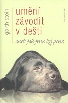 Umění závodit v dešti