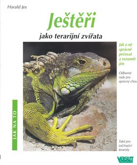 Ještěři jako terarijní zvířata - jak na to