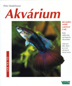 Akvárium - jak na to