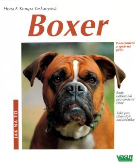 Boxer - Jak na to