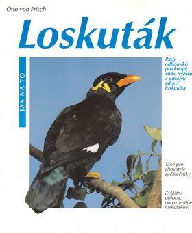 Loskuták - Jak na to