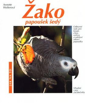 Žako papoušek šedý - Jak na to