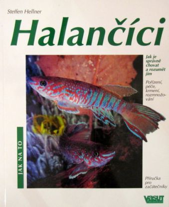 Halančíci