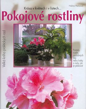 Pokojové rostliny - Krása v květech i v listech...