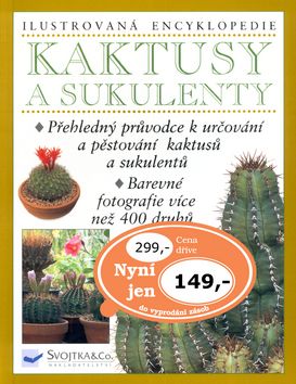 Kaktusy a sukulenty