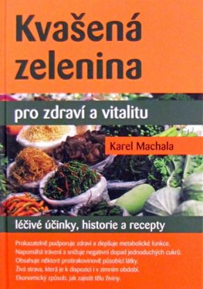 Kvašená zelenina pro zdraví a vitalitu
