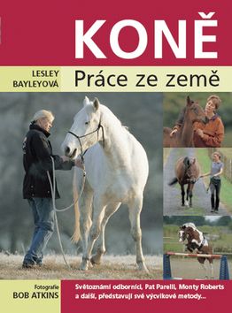 Koně - práce ze země