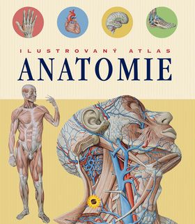 Ilustrovaný atlas anatomie