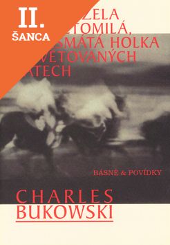 Lacná kniha Kam zmizela ta roztomilá, rozesmátá holka v květovaných šatech